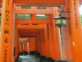 Fushi-mi-Inari-Taisha-torii-rossi-2