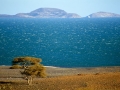 Lake-Turkana-acacia-tree-MARE-DI-GIADA