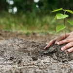 Venire al mondo Venire al mondo