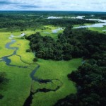 Pogrom in Amazzonia Pogrom in Amazzonia