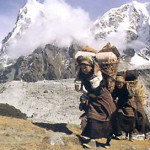 Gli Sherpa Gli Sherpa
