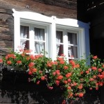 I Walser del Piemonte nord-orientale I Walser del Piemonte nord-orientale