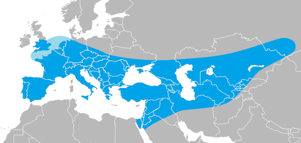 bruniquel neadertaliani - estensione-neandertal