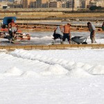 Una giornata con i salinari siciliani Una giornata con i salinari siciliani