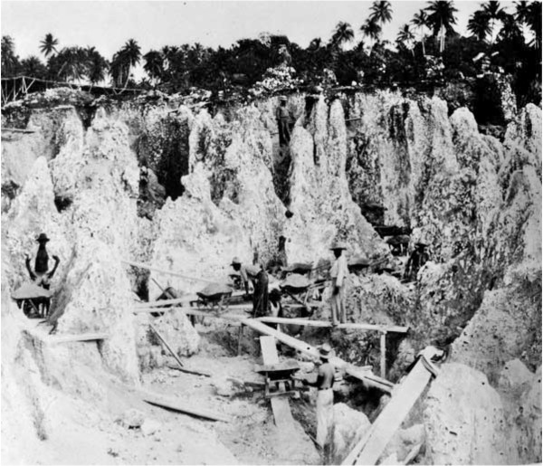 makatea tuamotu - estrazione