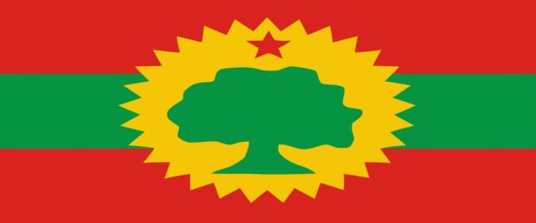 etiopia oromo protesta - flag_of_the_oromo_liberation_front