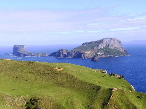 moriori isole chatam genocidio - Isola-Chatam