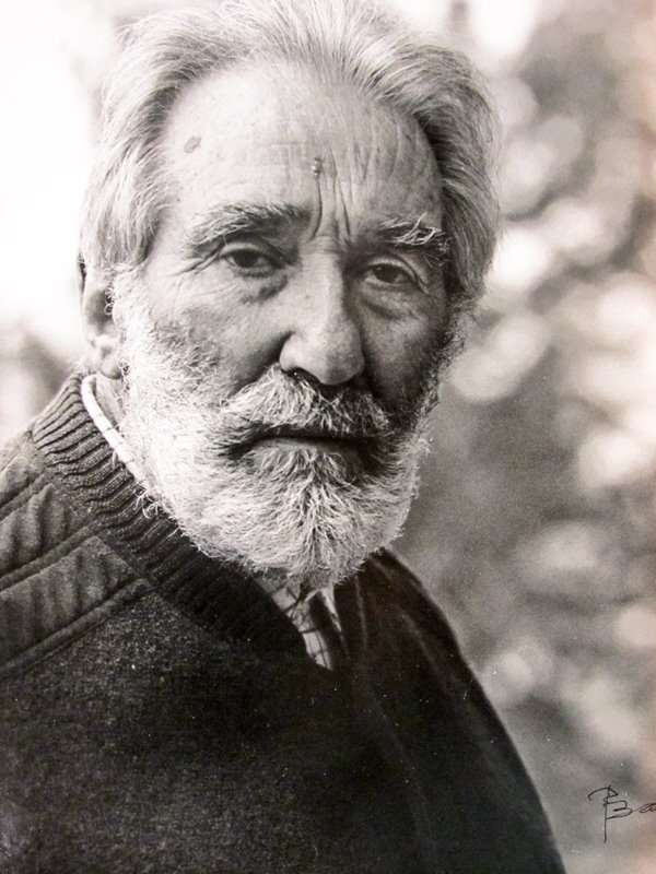 mario rigoni stern stagioni