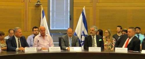 israeliani vogliono vincere - 3981
