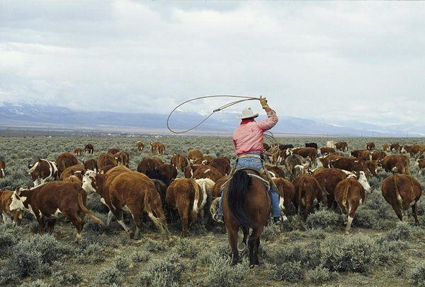 texas etnico prima puntata -cowboy