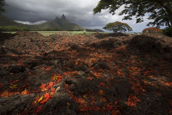 mauritius indipendenza