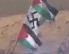 E intanto l’Olanda virtuosa regala fondi ai tagliagole palestinesi E intanto l’Olanda virtuosa regala fondi ai tagliagole palestinesi