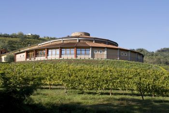 colli berici industria vinicola