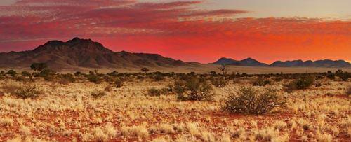 san boscimani del kalahari