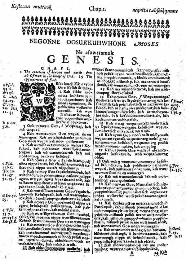 wampanoag rinascita