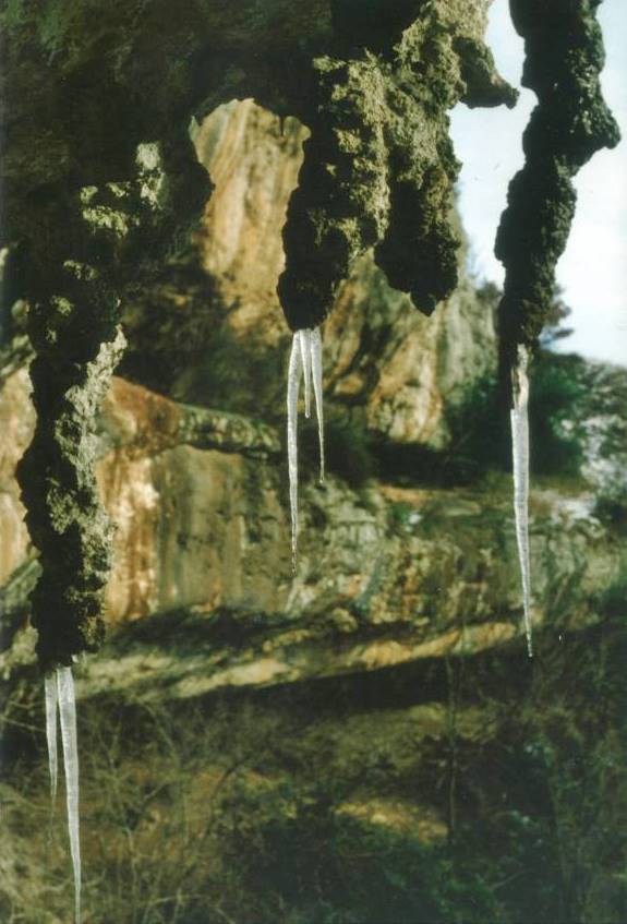 lumignano arrampicata habitat
