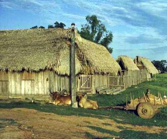 sinodo amazzonia contro cattolici e nativi