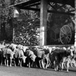 Tra Piemonte e Provenza, la verità storica Tra Piemonte e Provenza, la verità storica