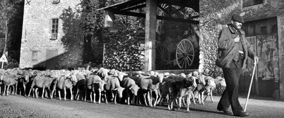 Tra Piemonte e Provenza, la verità storica Tra Piemonte e Provenza, la verità storica