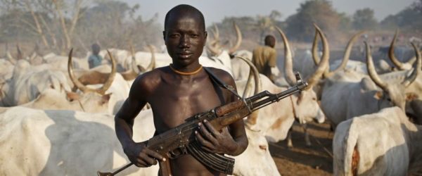 nigeria islamismo fulani