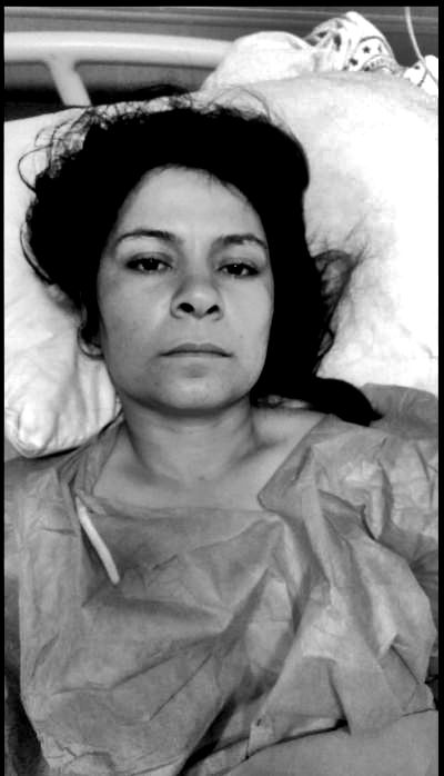 cicek cobane