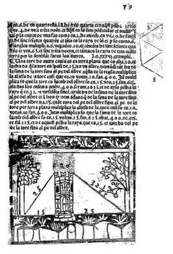 lingua nizzarda