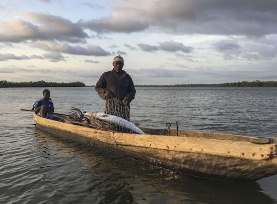 jola guerra in casamance