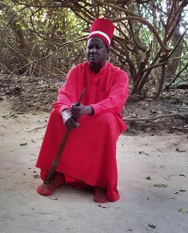 jola guerra in casamance