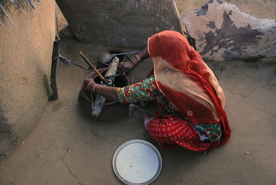 bishnoi ecologisti da 500 anni
