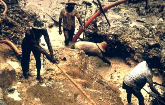 yanomami minatori