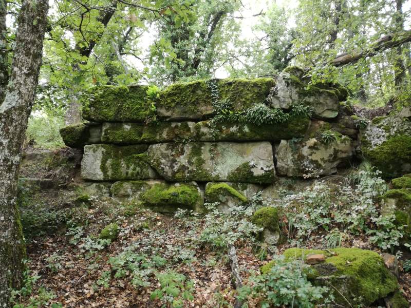 tempio etrusco di filonica