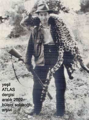 leopardi in estinzione nel kurdistan iracheno