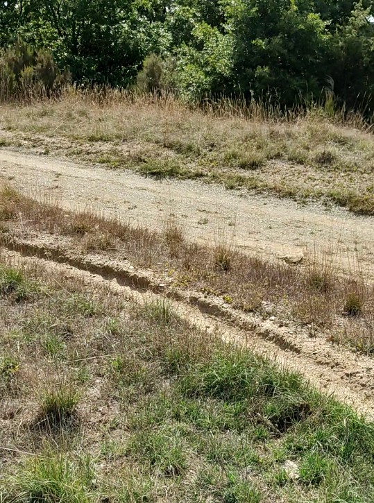strani solchi sul terreno