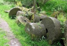 Nascita della mola versatilis e sua introduzione in Italia